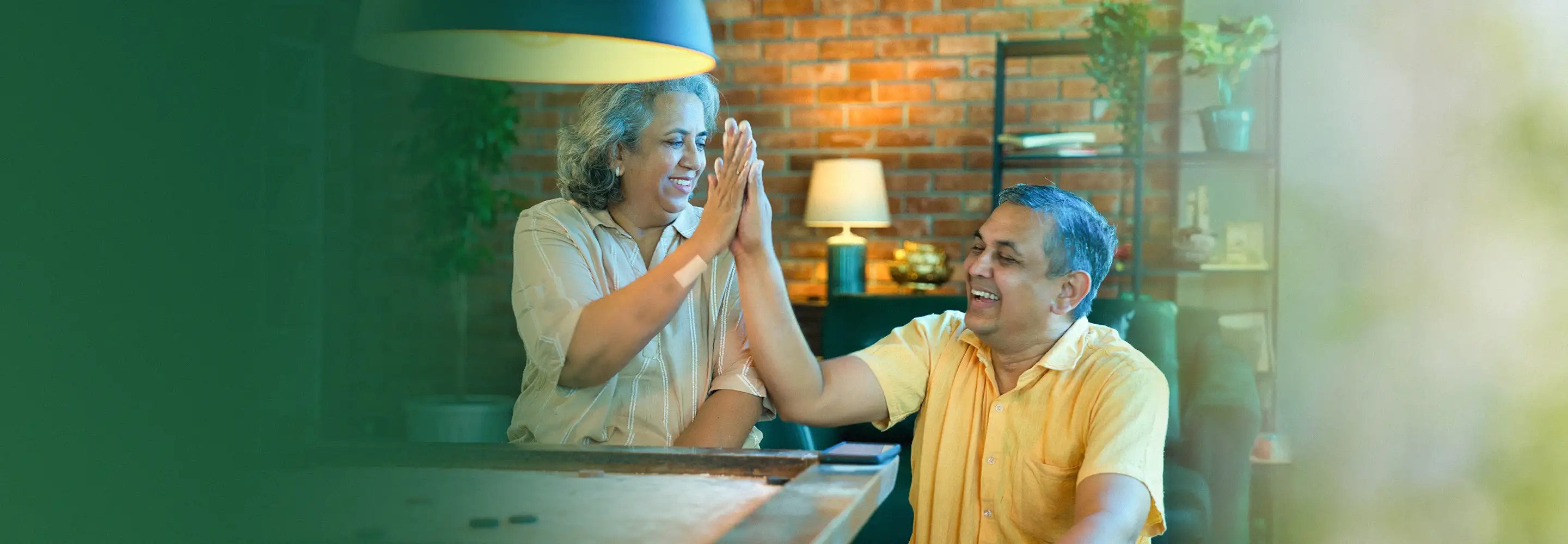 Olive Elder Care