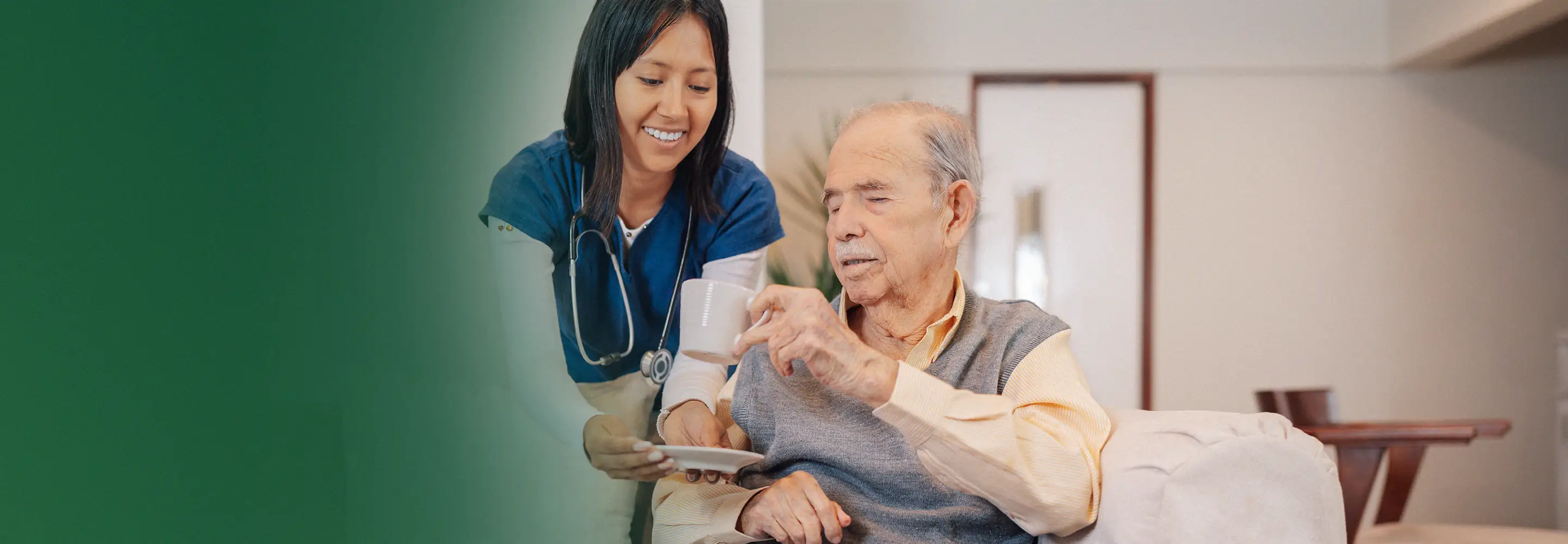 Olive Elder Care